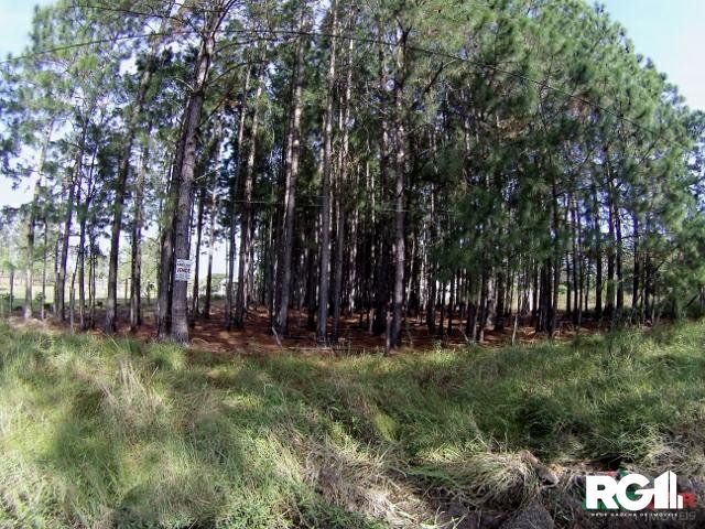 Terreno à venda, 3060m² - Foto 3