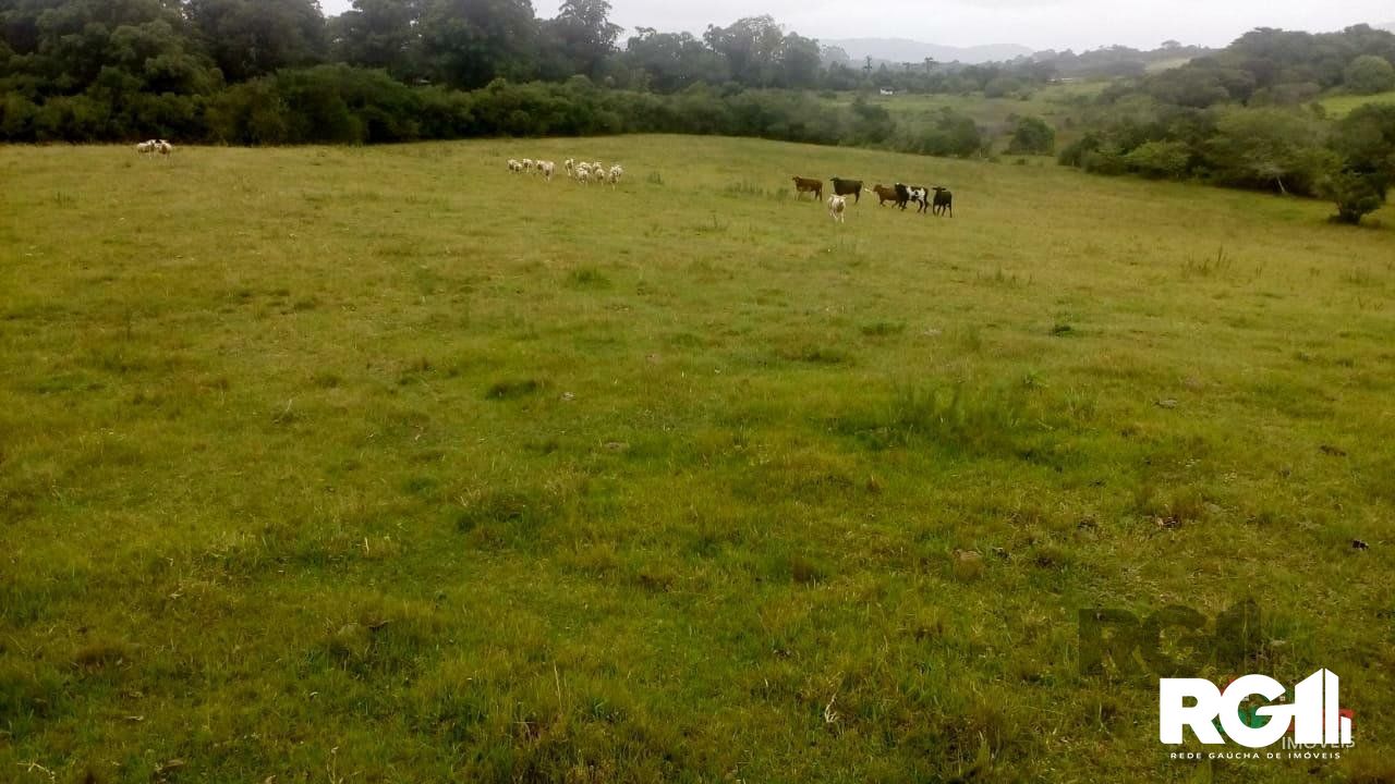 Sítio à venda com 2 quartos, 100000m² - Foto 43