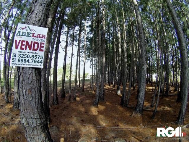Terreno à venda, 3060m² - Foto 1