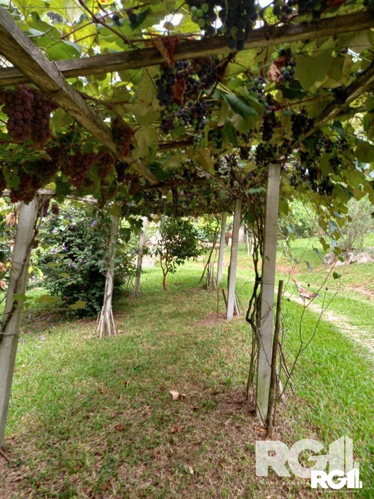 Fazenda à venda com 3 quartos, 90m² - Foto 15