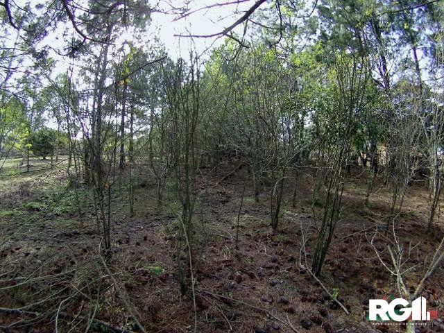 Terreno à venda, 3060m² - Foto 7