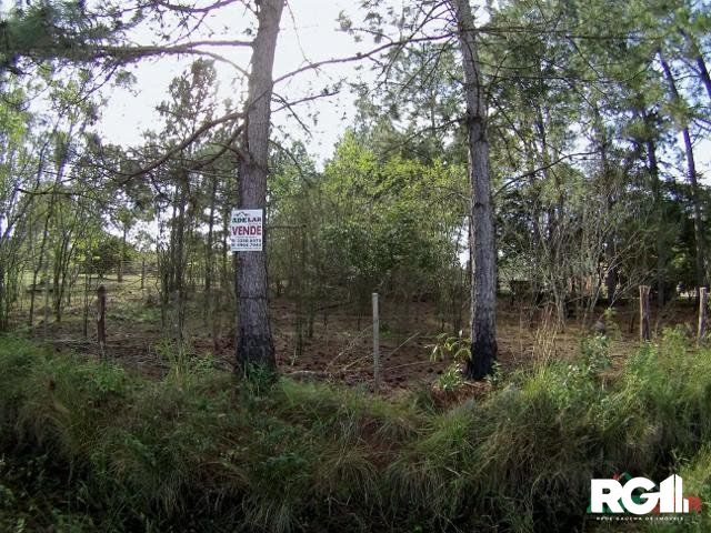 Terreno à venda, 3060m² - Foto 6