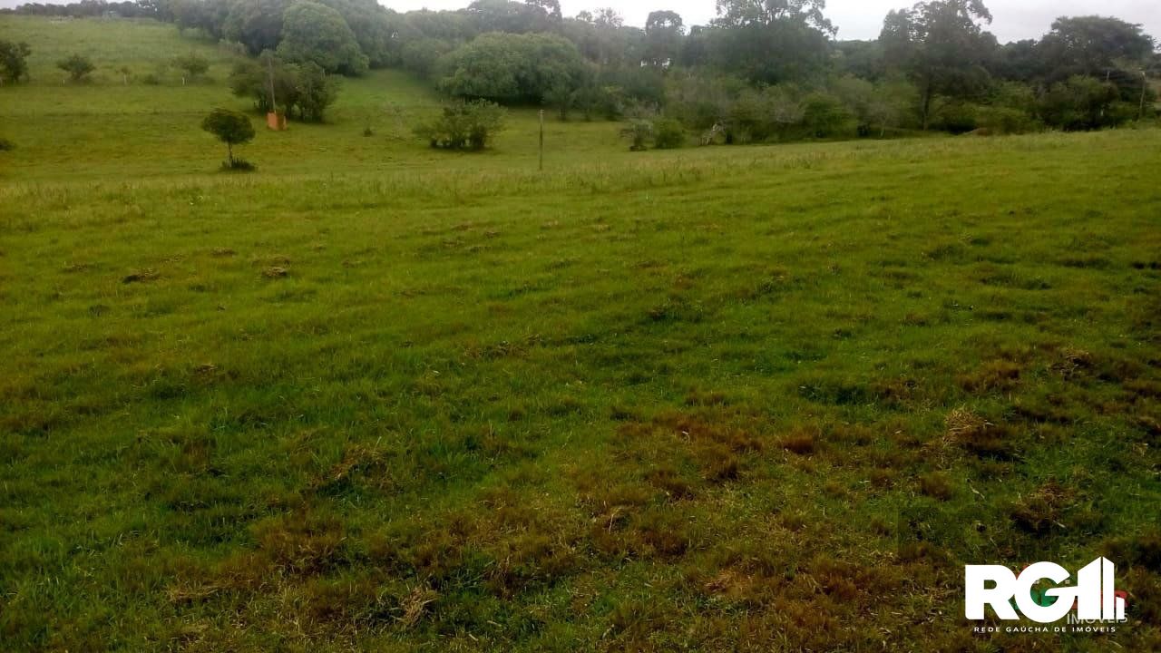 Sítio à venda com 2 quartos, 100000m² - Foto 31