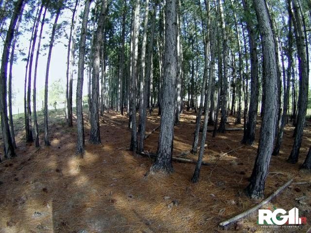 Terreno à venda, 3060m² - Foto 2