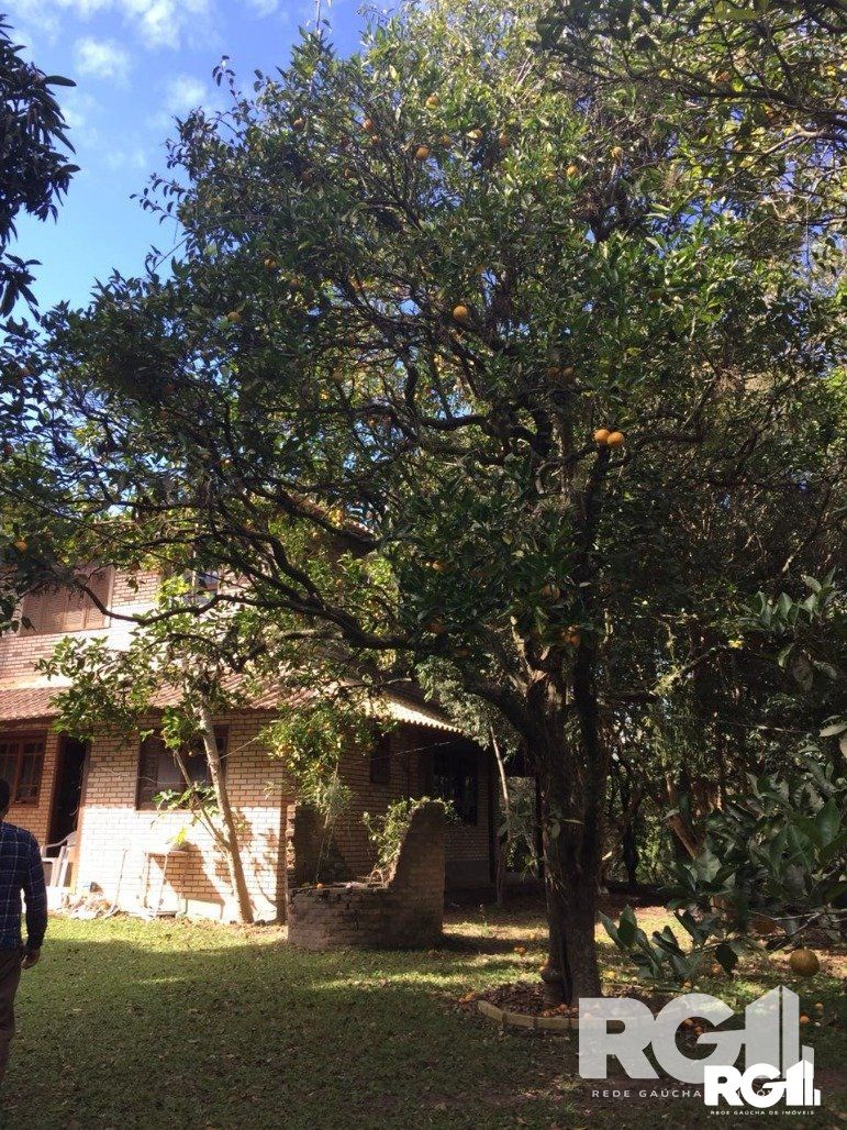 Sítio à venda com 2 quartos, 6200m² - Foto 37