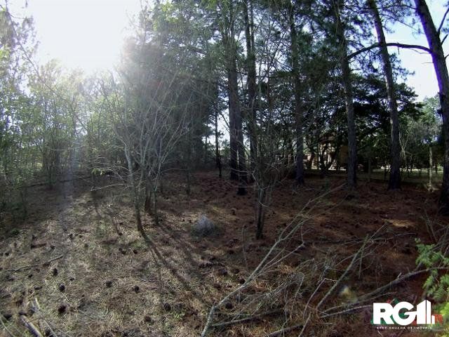 Terreno à venda, 3060m² - Foto 8