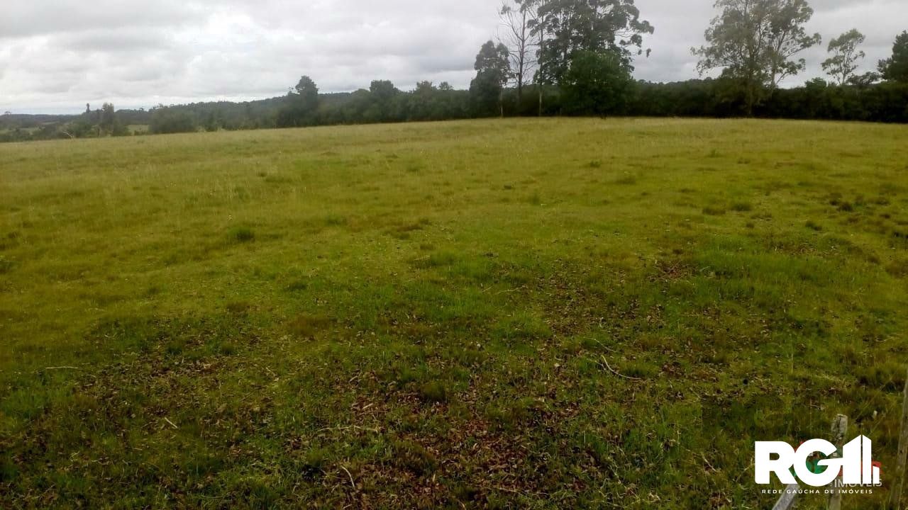 Sítio à venda com 2 quartos, 100000m² - Foto 35