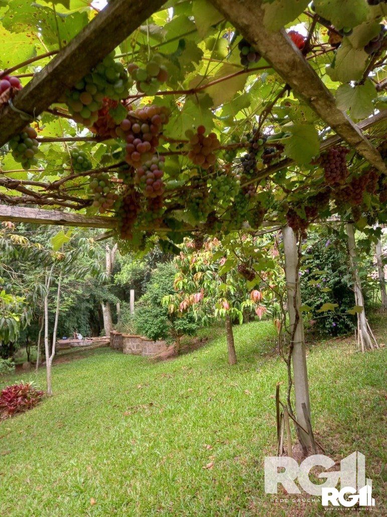 Fazenda à venda com 3 quartos, 90m² - Foto 16