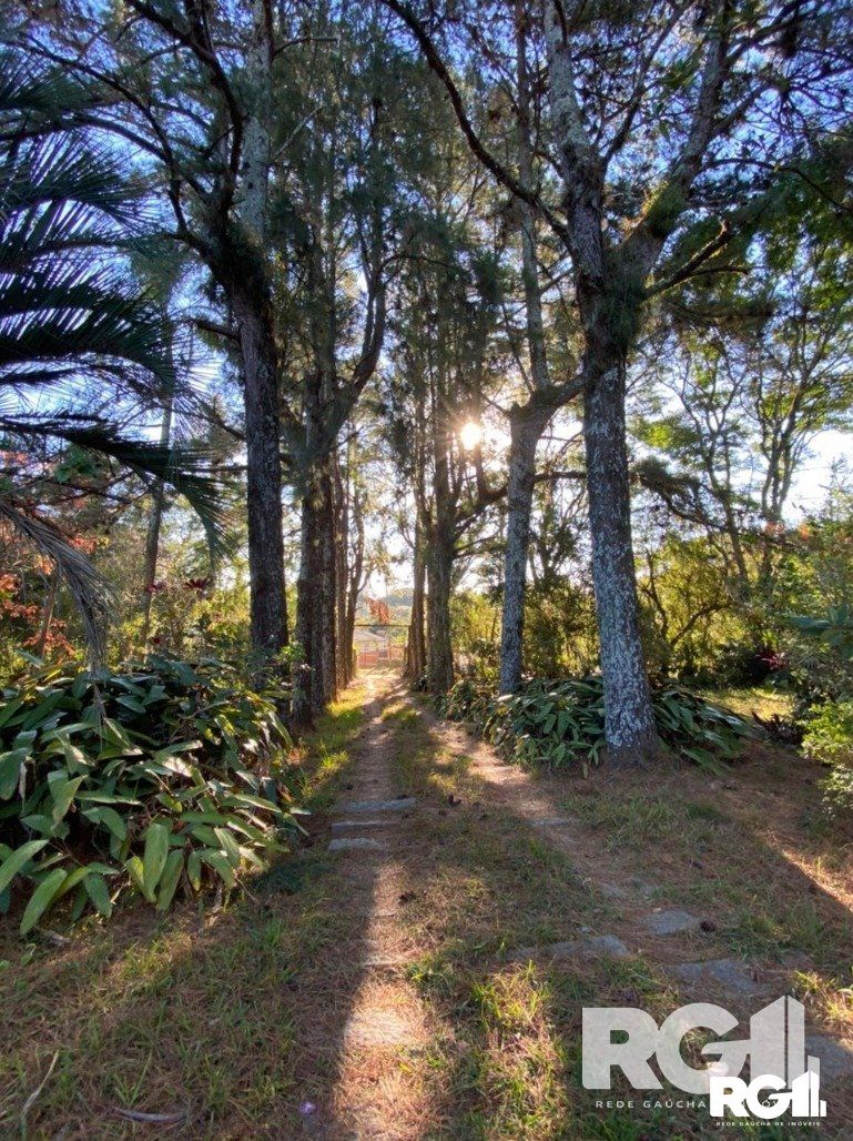 Sítio à venda com 3 quartos, 304m² - Foto 18