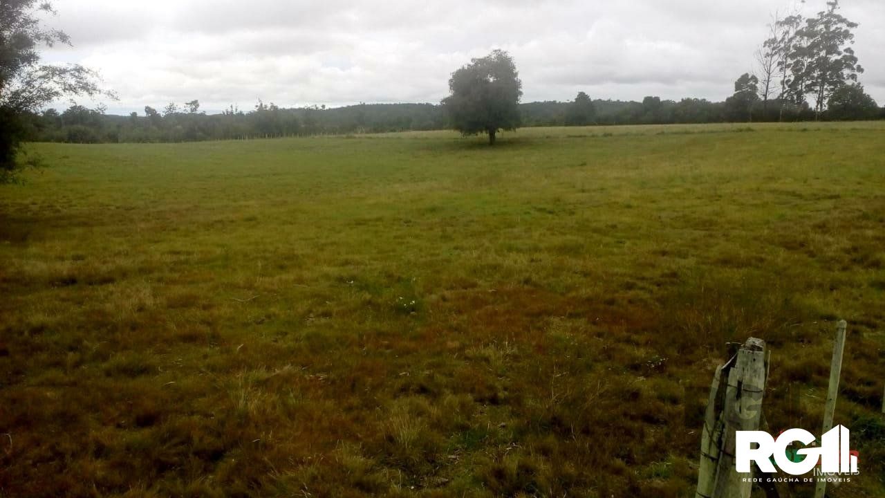 Sítio à venda com 2 quartos, 100000m² - Foto 32