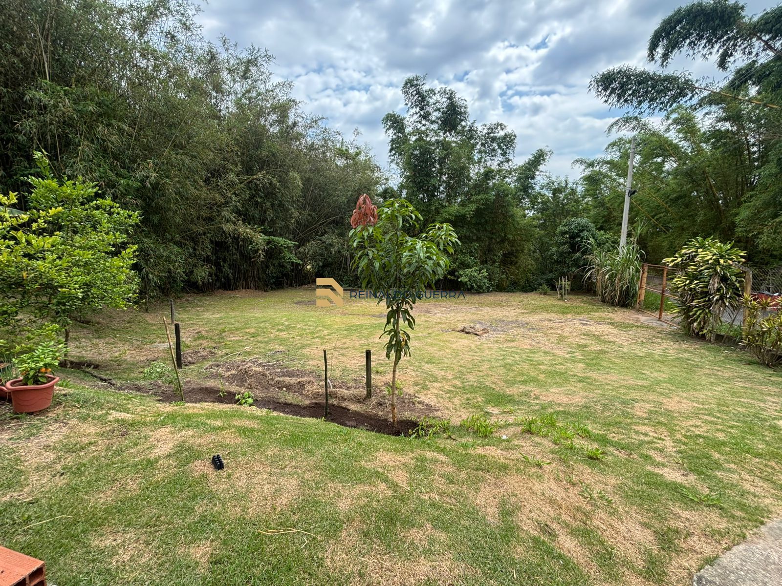Sítio, 4 quartos, 3200 m² - Foto 32