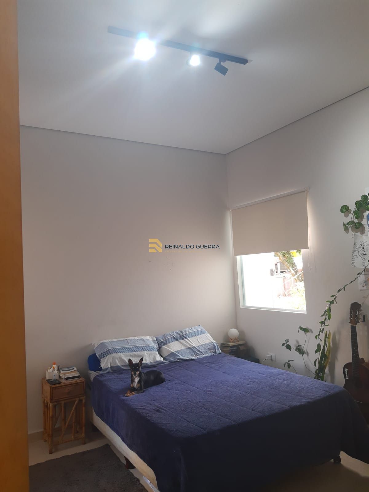 Casa, 4 quartos, 125 m² - Foto 42