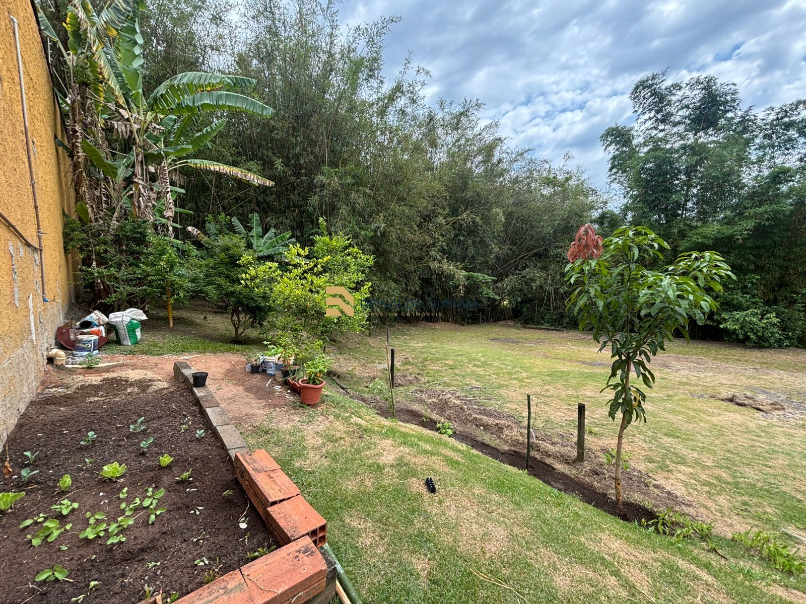 Sítio, 4 quartos, 3200 m² - Foto 31