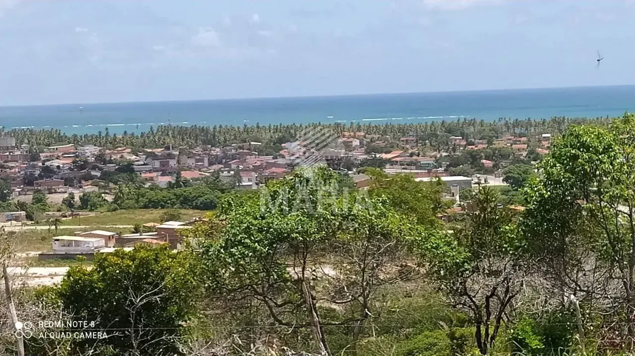 Área de 11.7 Hectares à venda em Tamandaré/PE!