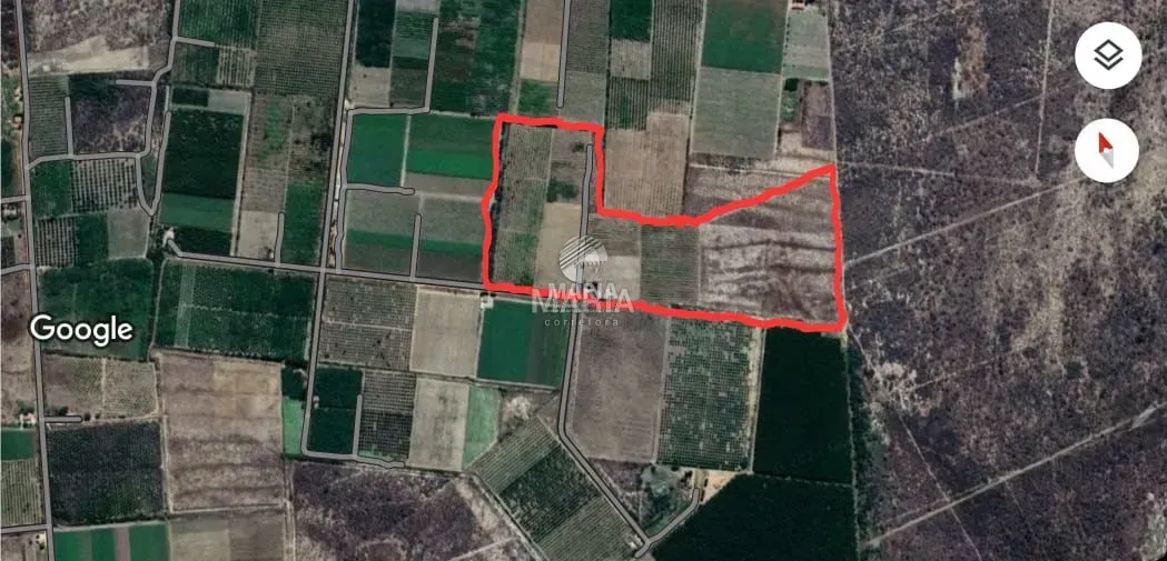 Fazenda de uva em Petrolina/PE com 19 Hectares!