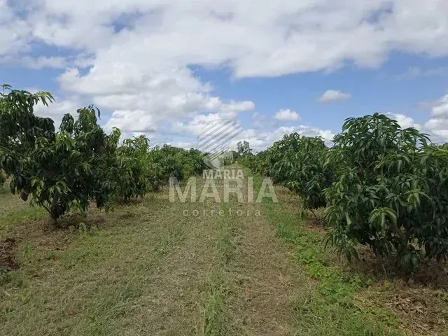 Área com 12,5 Hectares em Petrolina/PE!