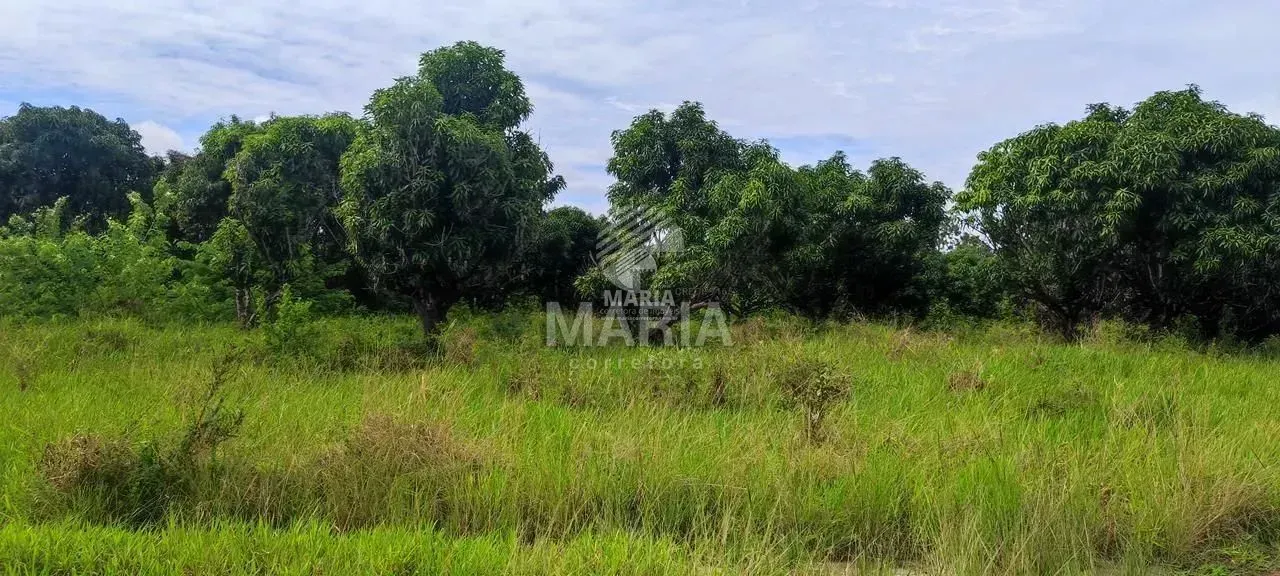 Área de 14 Hectares à venda em Chã Grande/PE!