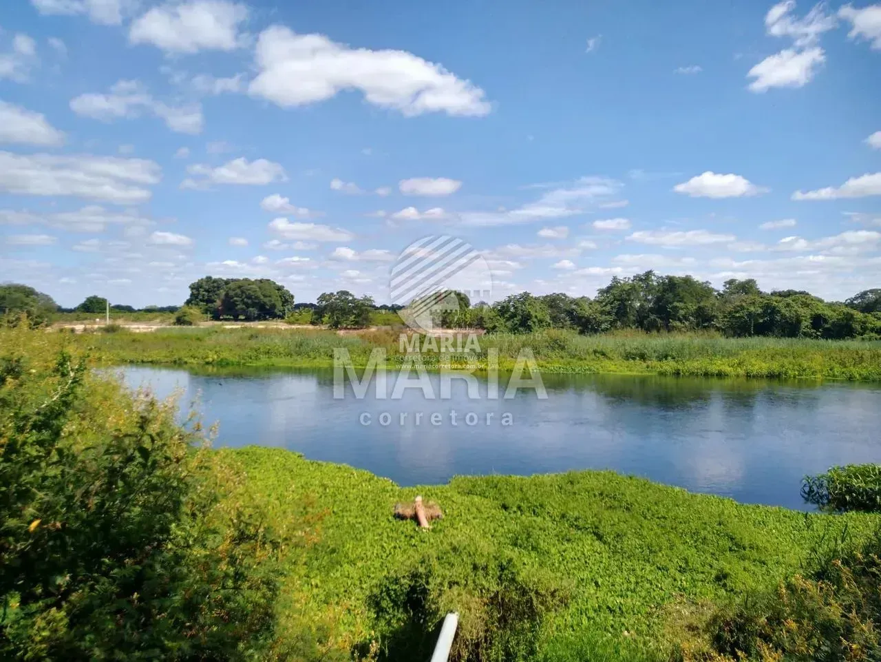 Roça Beira de Rio com 7.6 Hectares à venda em Petrolina/PE!
