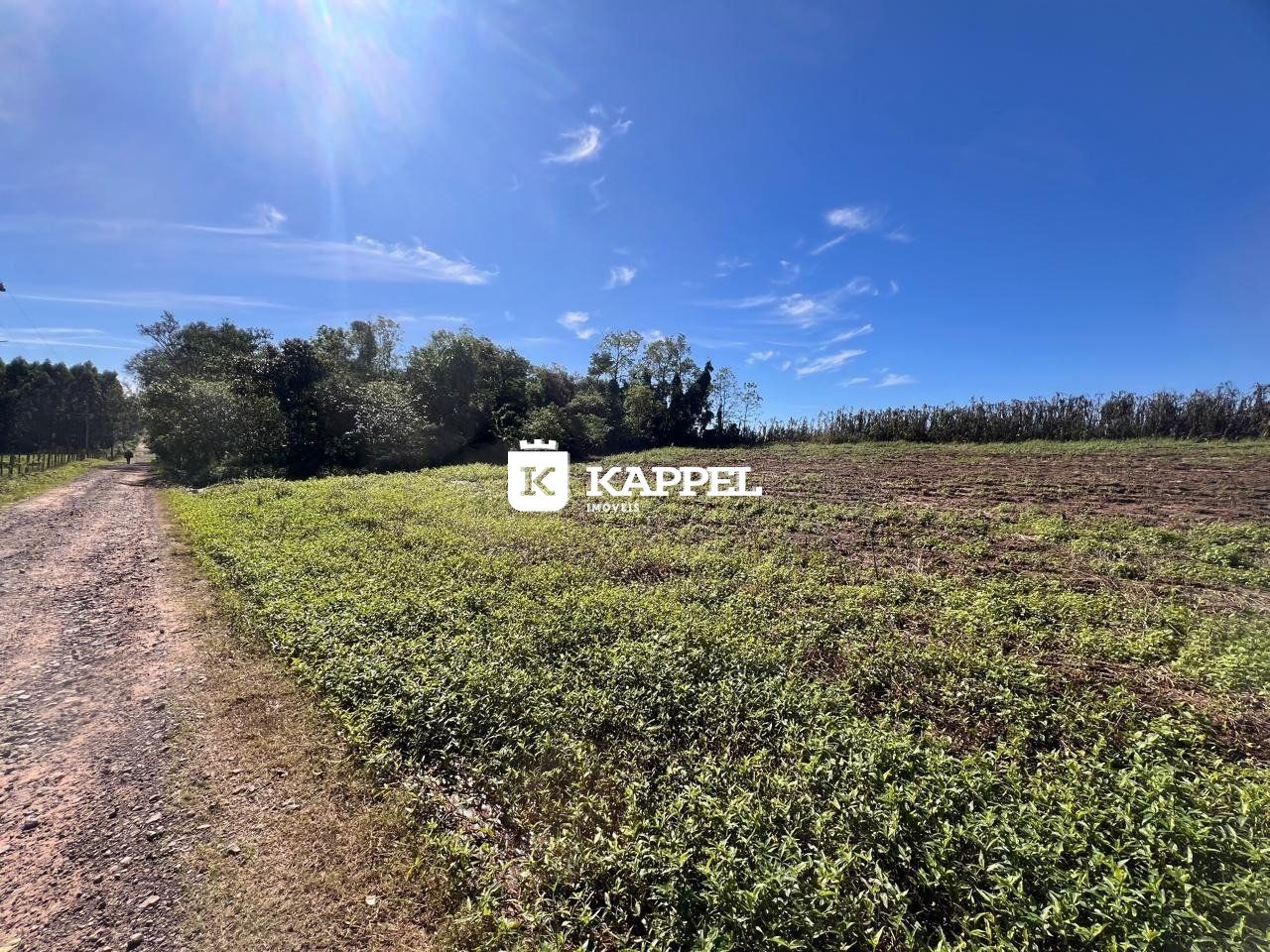 Imagem do imóvel Chácara  à Venda Na Tangerinas - Venâncio Aires.