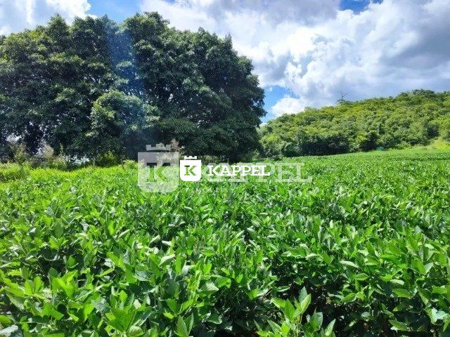 Imagem do imóvel Chacara A Venda Com 6 Hectares Em Venâncio Aires