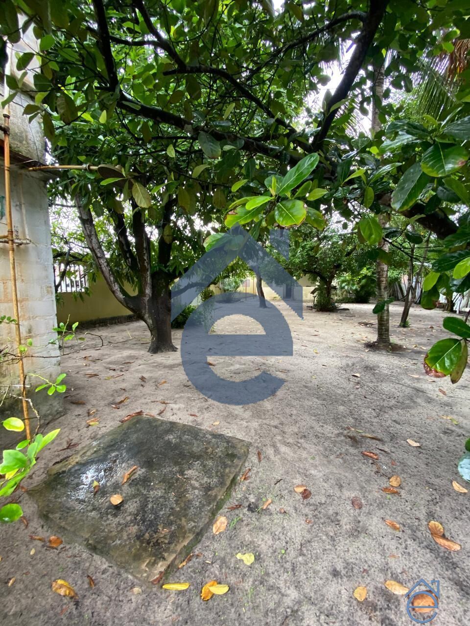 Casa, 2 quartos, 560 m² - Foto 8