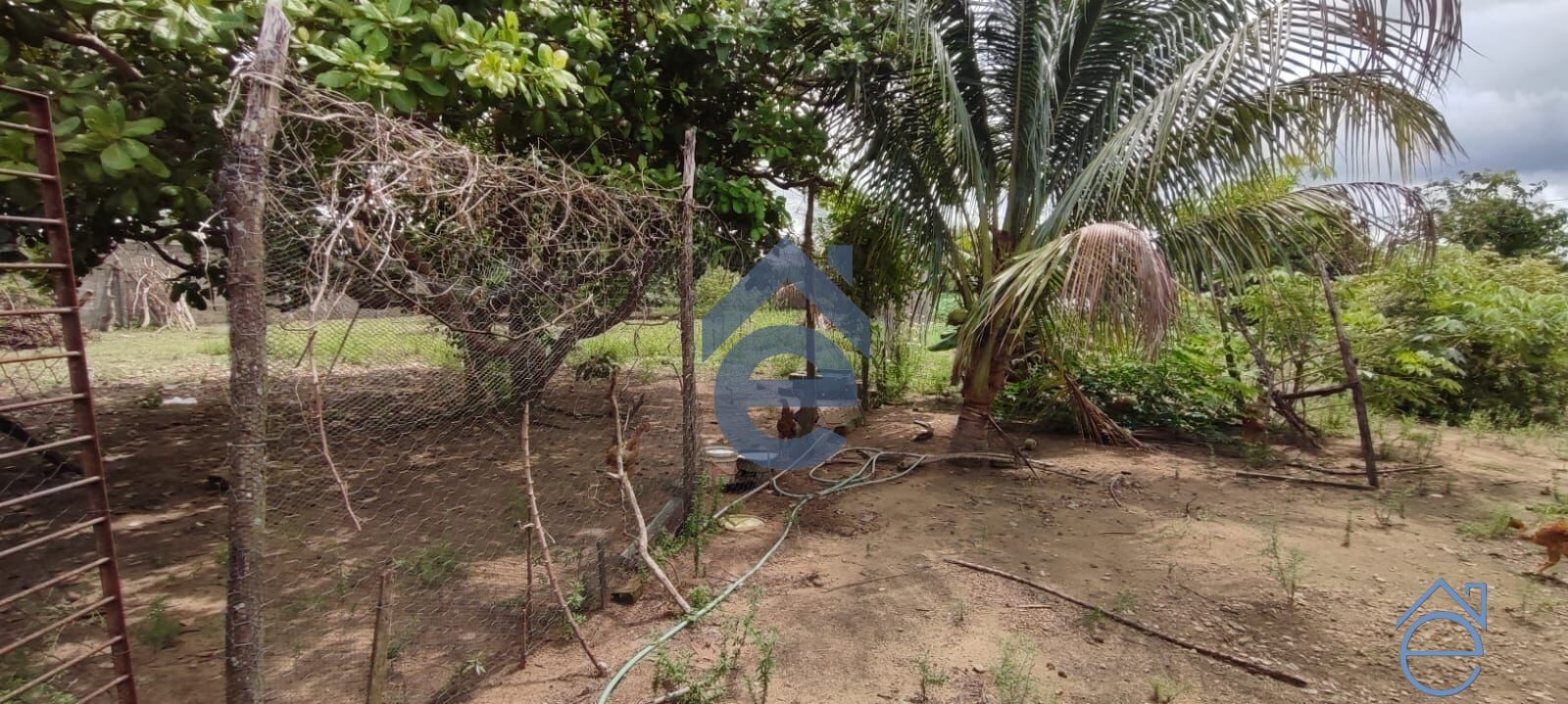 Chácara, 3 quartos, 2100 m² - Foto 11