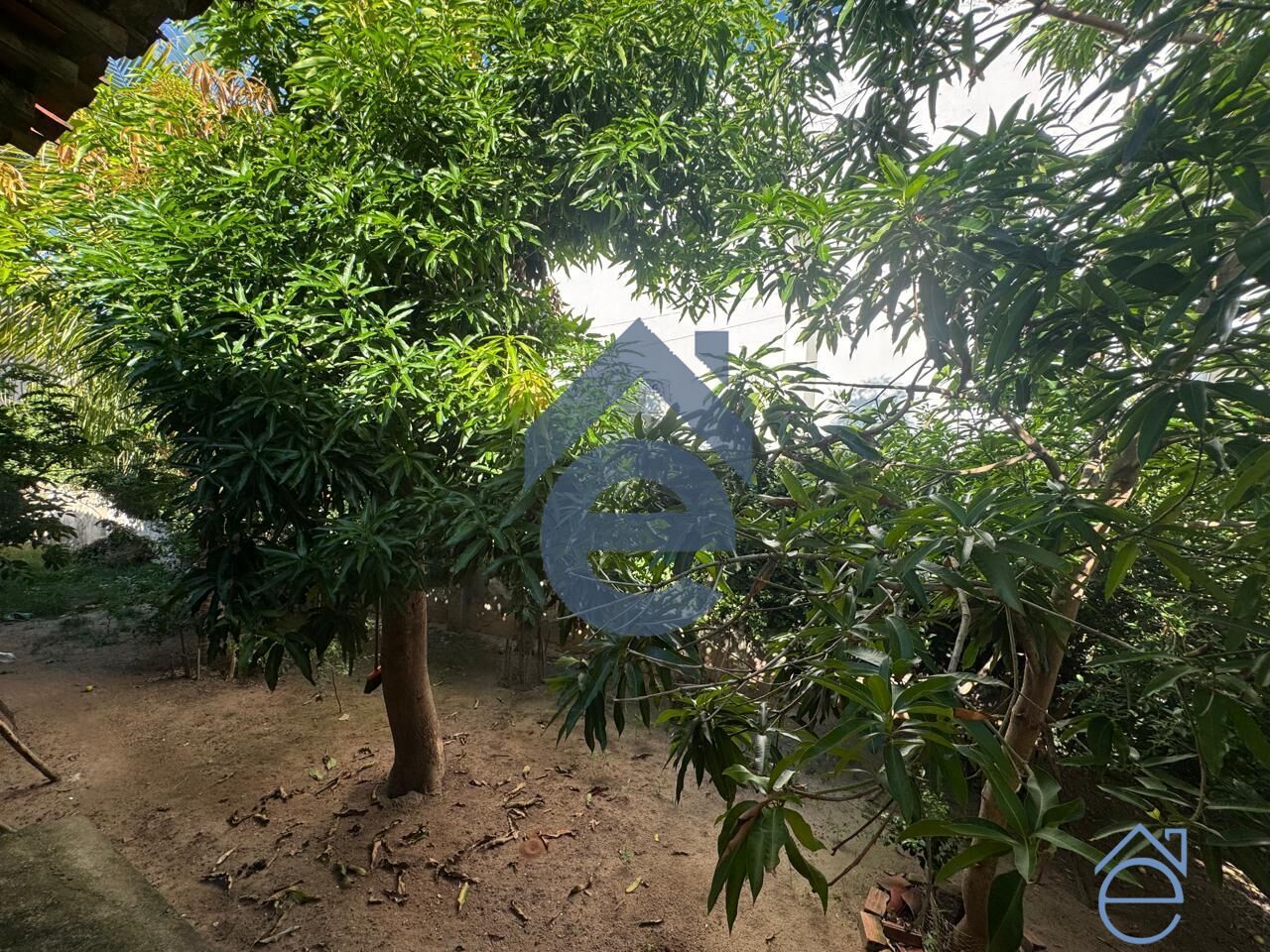 Casa, 5 quartos, 650 m² - Foto 14