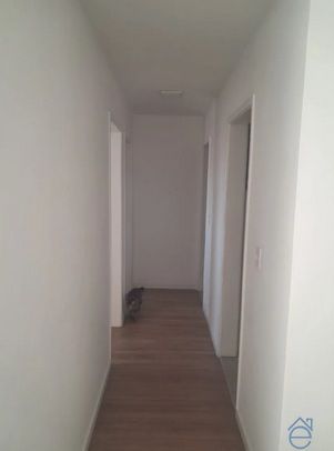 Apartamento, 3 quartos, 52 m² - Foto 5