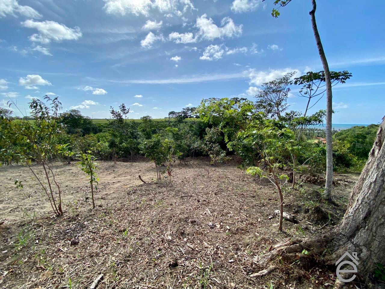 Terreno, 540 m² - Foto 4