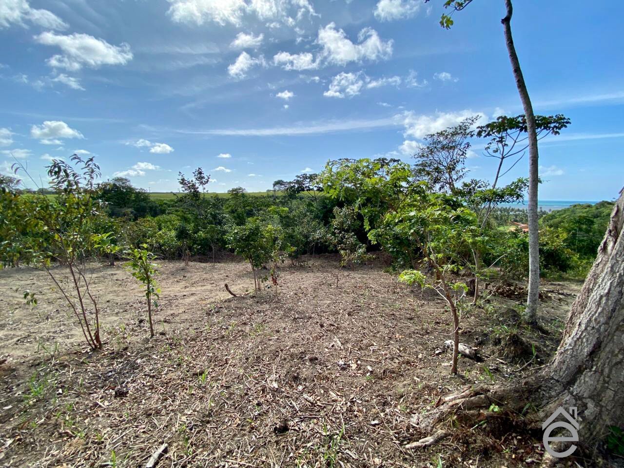 Terreno, 540 m² - Foto 4