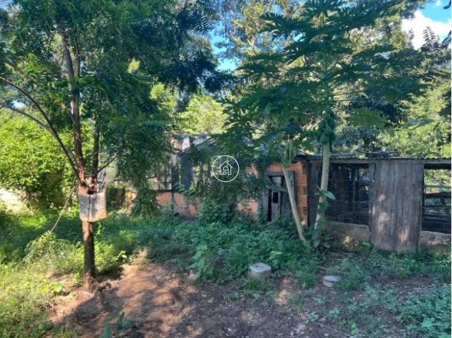 Chácara, 2 quartos, 12 hectares - Foto 13