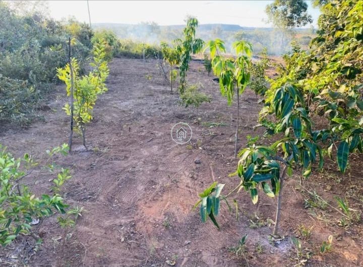 Chácara, 1 quarto, 2000 m² - Foto 7