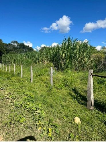 Chácara, 2 quartos, 12 hectares - Foto 7