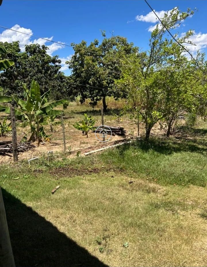 Sítio, 3 quartos, 3 hectares - Foto 12