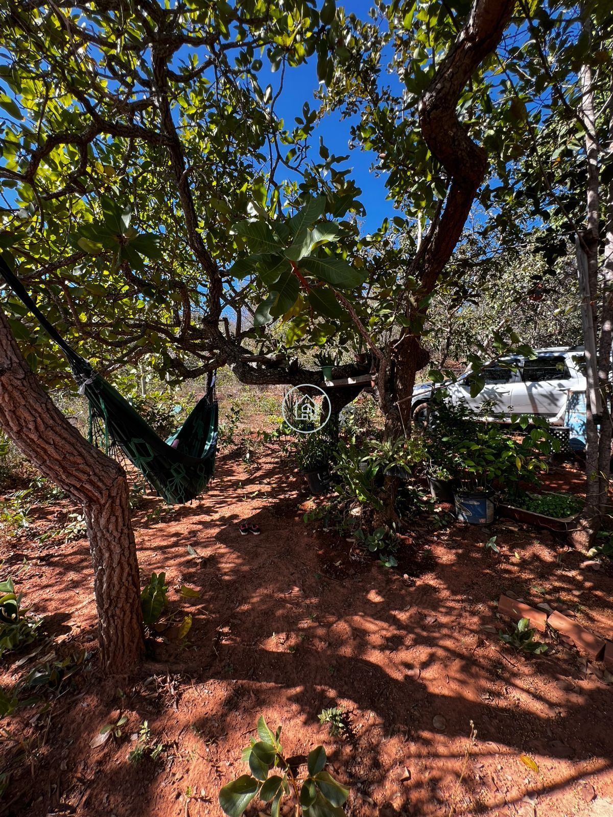 Chácara, 2 quartos, 2999 m² - Foto 6