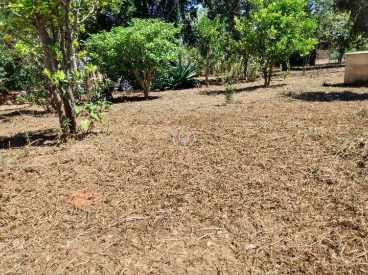 Chácara, 2 quartos, 10000 m² - Foto 10