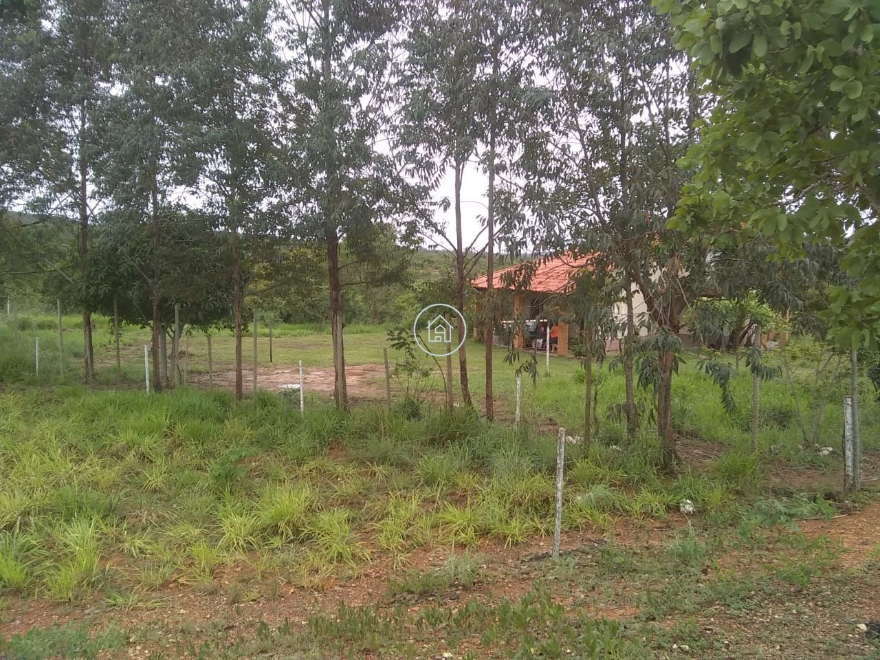 Fazenda, 58 hectares - Foto 18
