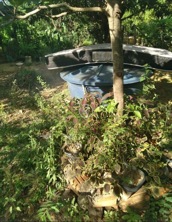 Chácara, 1 quarto, 1000 m² - Foto 2