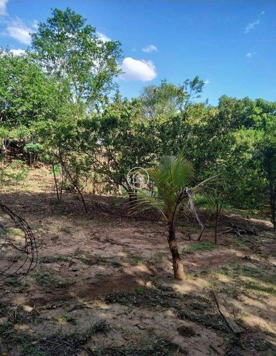 Chácara, 2 quartos, 7000 m² - Foto 4