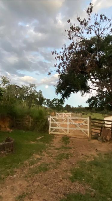 Fazenda, 60 hectares - Foto 5