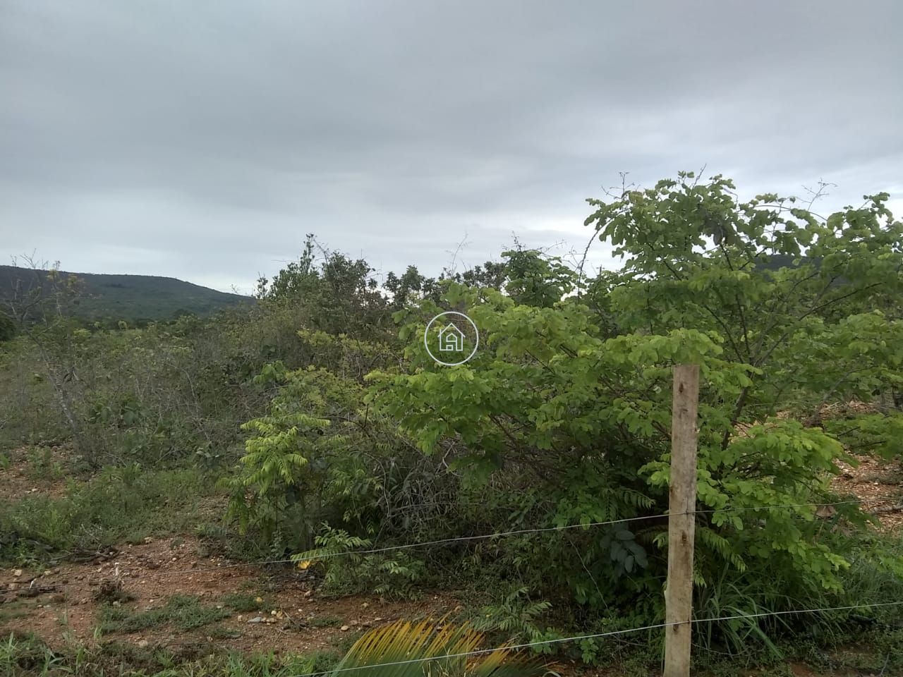 Fazenda, 58 hectares - Foto 10