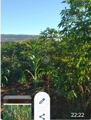 Chácara, 3 quartos, 5000 m² - Foto 3