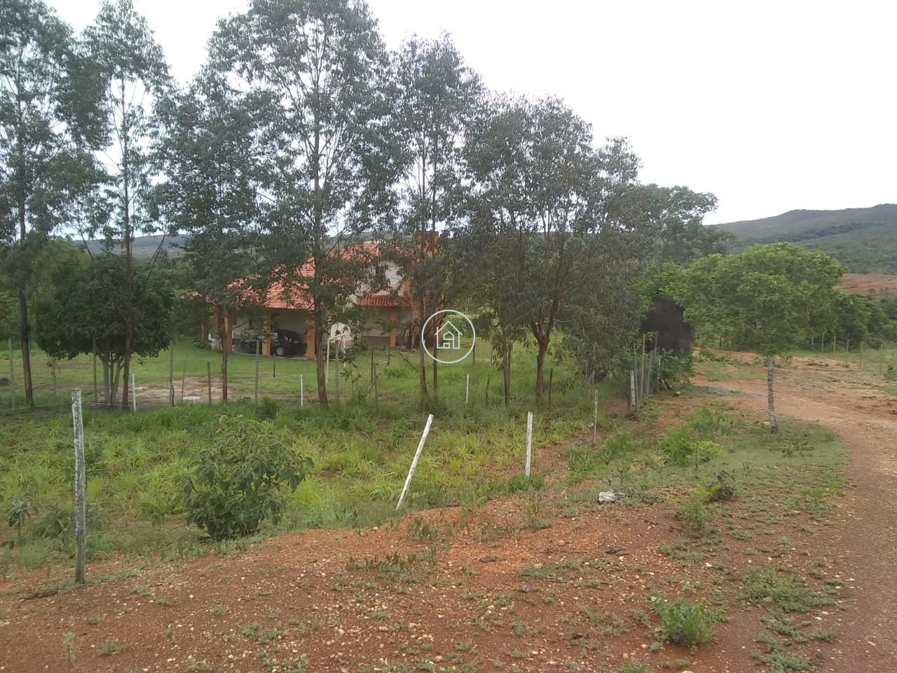 Fazenda, 58 hectares - Foto 9