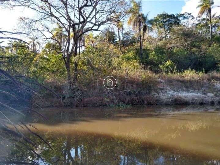 Fazenda, 497 hectares - Foto 7