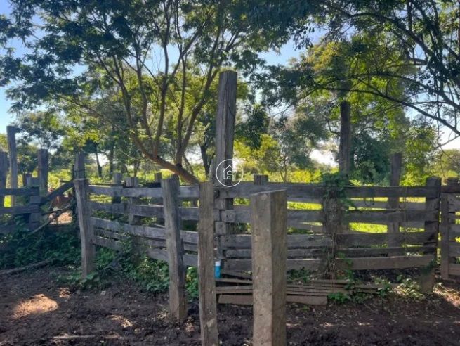 Chácara, 2 quartos, 12 hectares - Foto 4