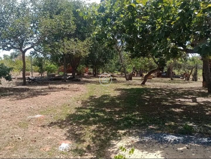 Chácara, 2 quartos, 10000 m² - Foto 15