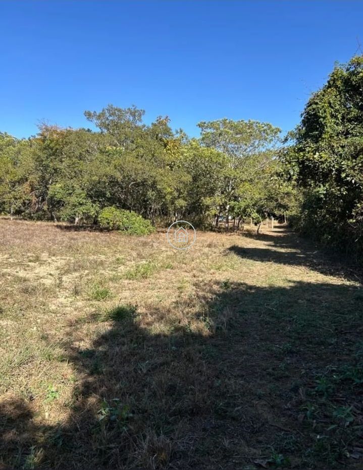 Sítio, 3 quartos, 3 hectares - Foto 4