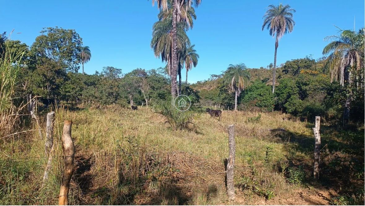 Sítio, 2 quartos, 19 hectares - Foto 8