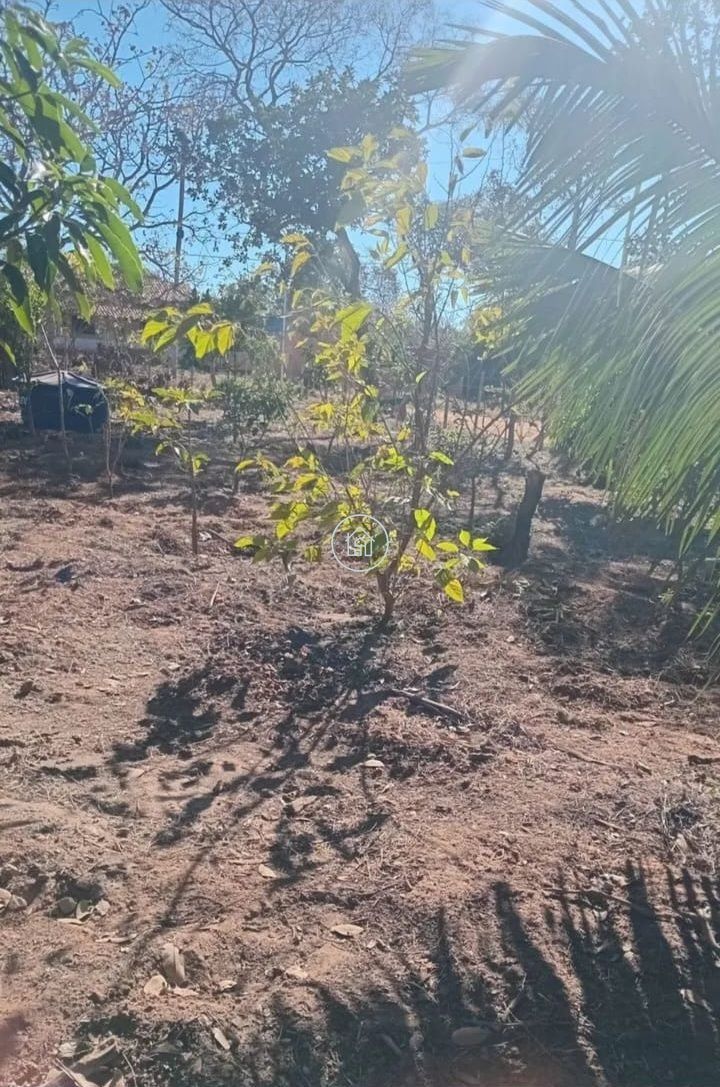 Chácara, 2 quartos, 1500 m² - Foto 5