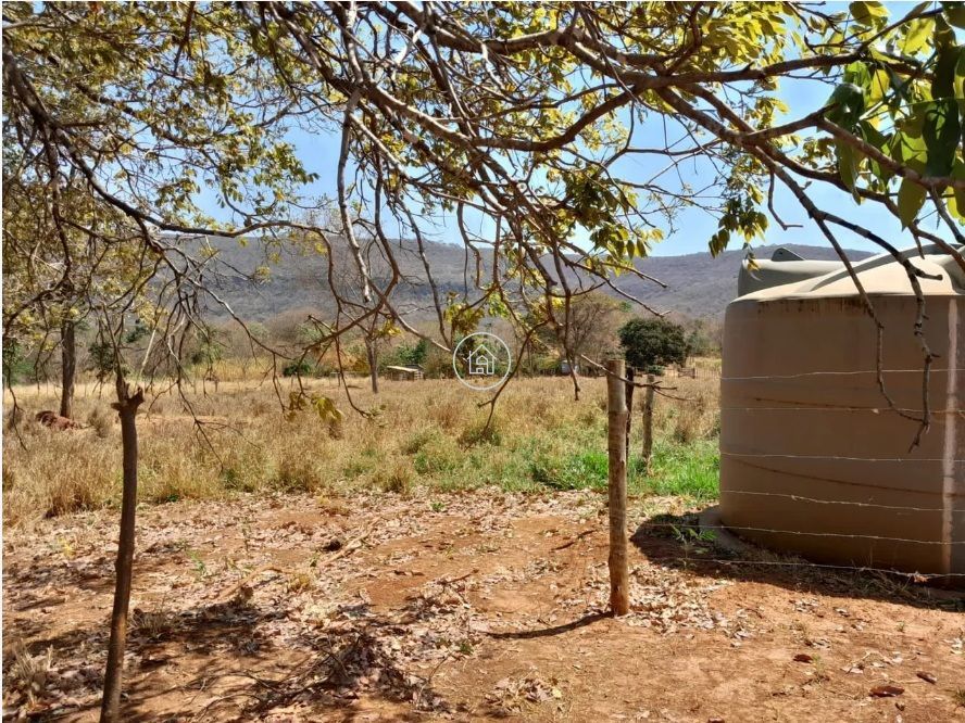 Chácara, 3 quartos, 2 hectares - Foto 4